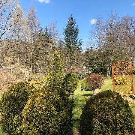 Appartamento Apartament Halina Lądek-Zdrój Esterno foto
