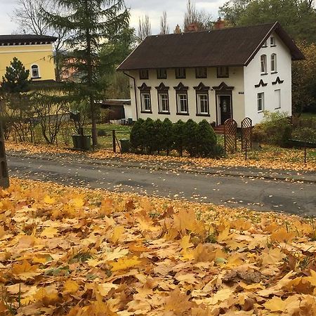 Appartamento Apartament Halina Lądek-Zdrój Esterno foto