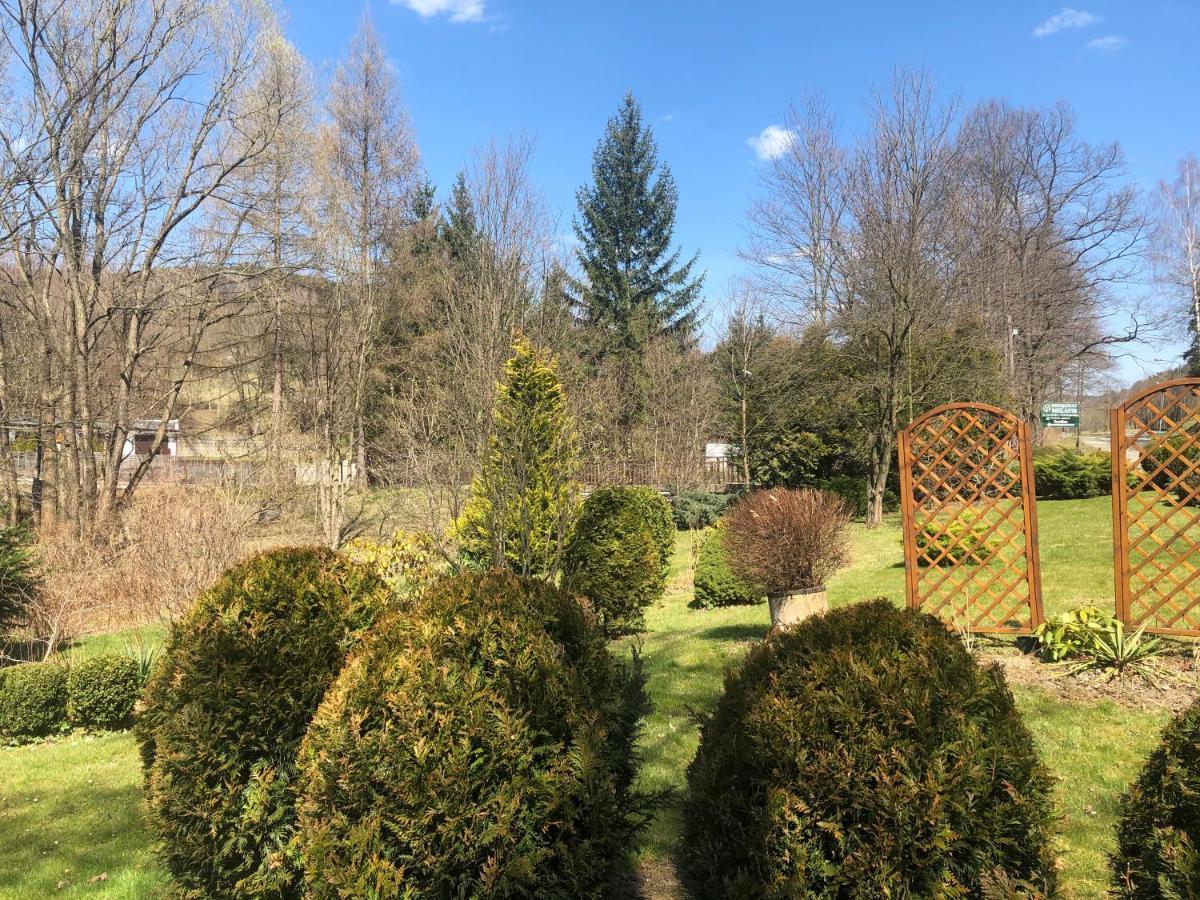 Appartamento Apartament Halina Lądek-Zdrój Esterno foto