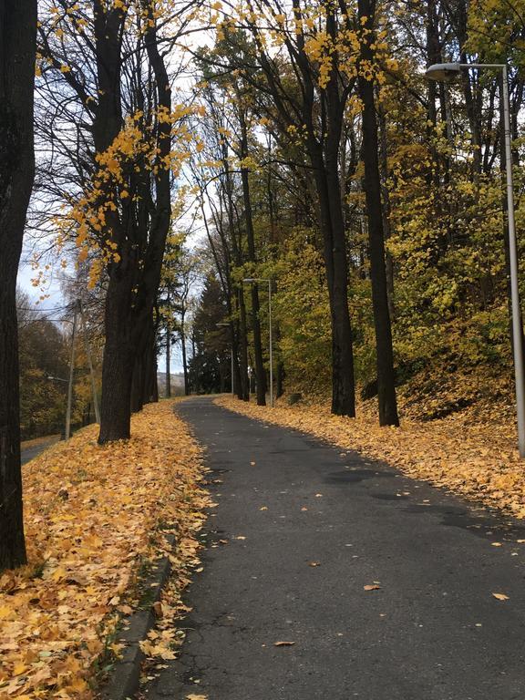 Appartamento Apartament Halina Lądek-Zdrój Esterno foto