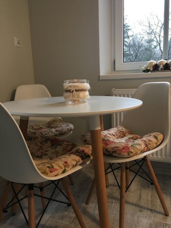 Appartamento Apartament Halina Lądek-Zdrój Esterno foto